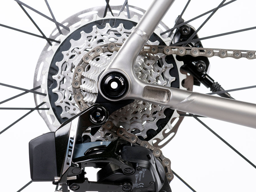 Enigma Elan titanium road bike UDH rear dropout detail