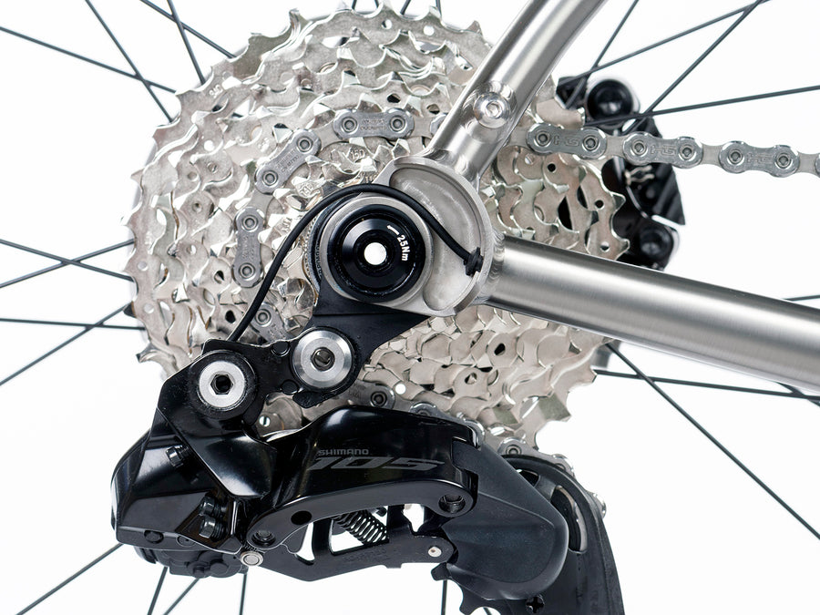 Enigma Etape titanium all-road bike UDH rear dropout detail